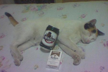 mchicha