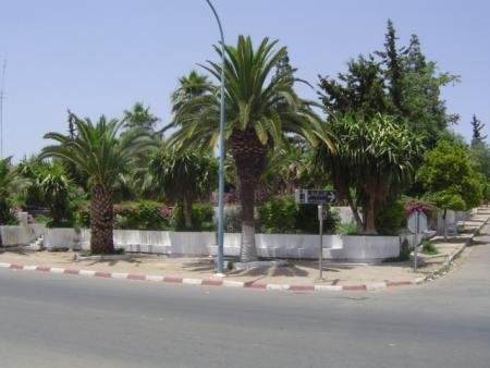 le jardin